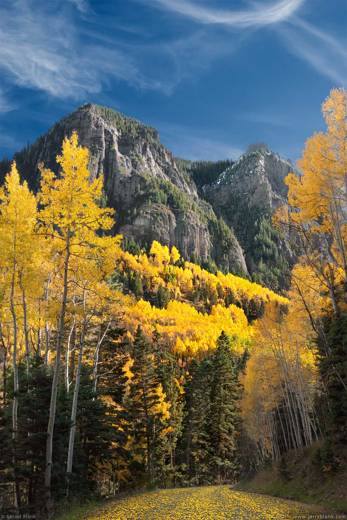 #06883 - Autumn aspen leaves decorate Canyon Creek Road in the Uncompahgre National Forest, in Colorado’s San Juan Mountains - photo by Jerry Blank