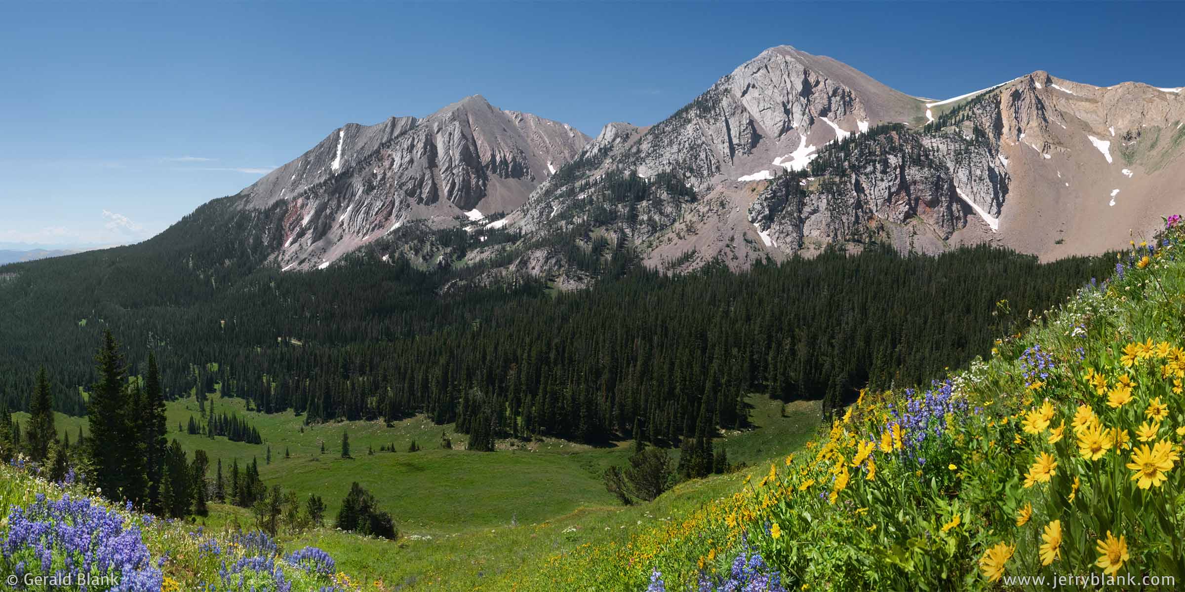 #09404 - Lupines and arnica cover a meadow northeast of Sacagawea Peak and Hardscrabble Peak in Montana’s Bridger Mountains - wildflowers panoramic photo by Jerry Blank