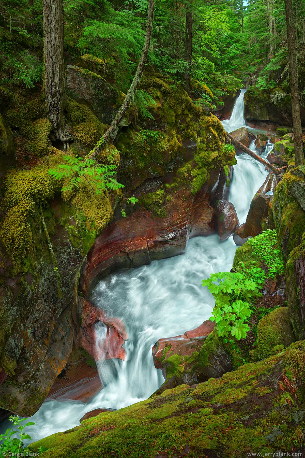 #25498 - Scenic Avalanche Creek falls, near the Trail of the Cedars in Glacier National Park, Montana - waterfall photo by Jerry Blank
