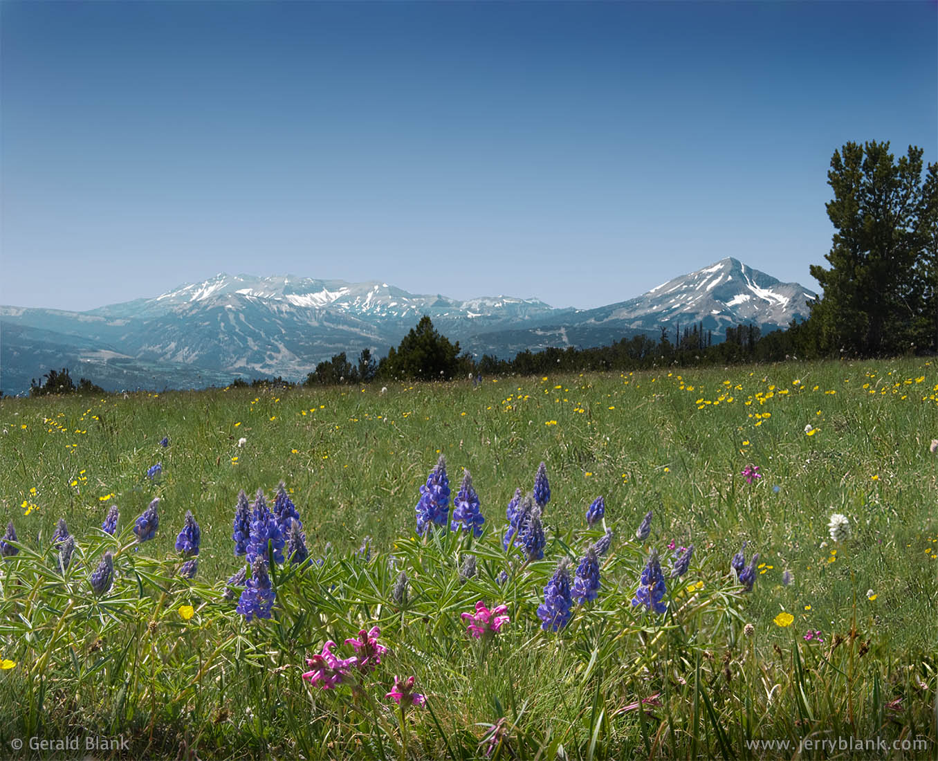 #05516 - A high meadow above Hidden Lake in Montana’s Gallatin Range, with a west view of Cedar Mountain and Lone Mountain - photo by Jerry Blank
