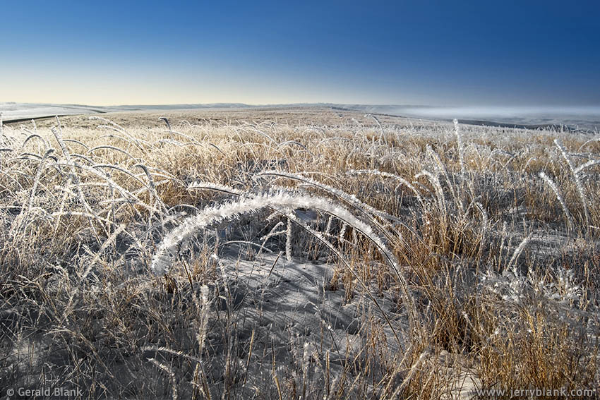 #03249 - Early morning hoarfrost in the Little Missouri National Grassland, east of Tobacco Garden Bay in McKenzie County, North Dakota - photo by Jerry Blank