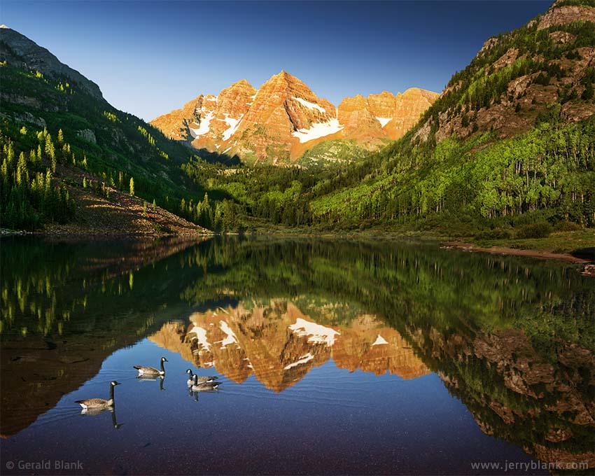#23409 - Canada geese visit Maroon Lake, Colorado just after daybreak, as the Maroon Bells glow in the morning light