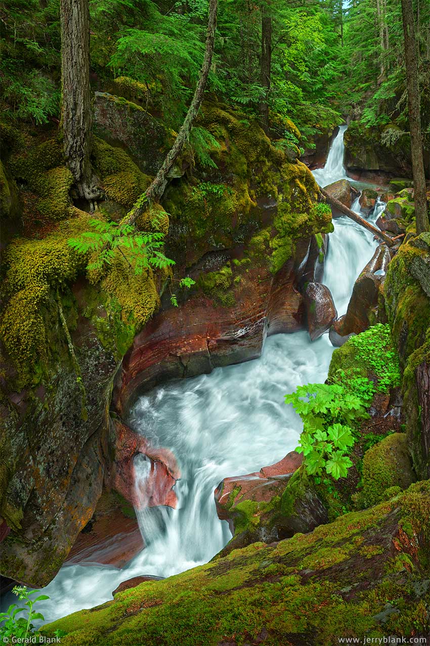 #25498 - Scenic Avalanche Creek falls, near the Trail of the Cedars in Glacier National Park, Montana - photo by Jerry Blank