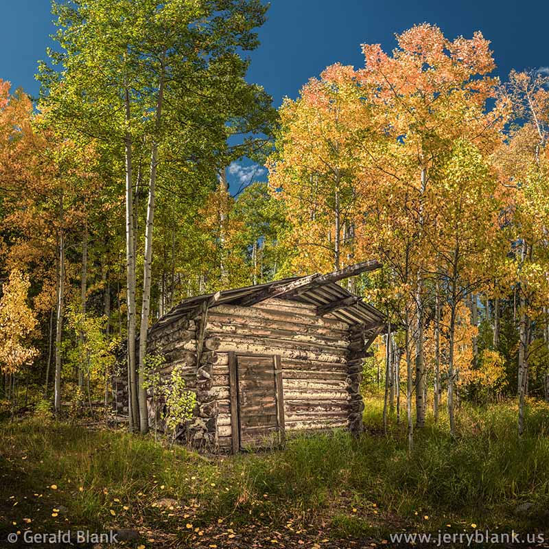 #46941 - Autumn aspens surround an old log cabin above Ames, Colorado, in the Uncompahgre National Forest - photo by Jerry Blank